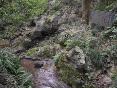 -杭州花家山庄