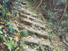 -黄陂区野村谷景区