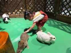 -酷嗒动物文化乐园(cutezoo西溪乐天城店)