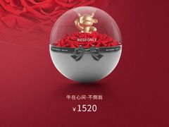 -ROSEONLY诺誓(国际广场购物中心店)