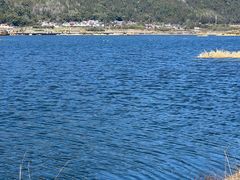 -腾冲北海湿地