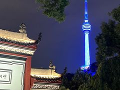 -龟山风景区-龟山电视塔