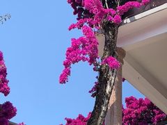 -梅州天地人花园酒店(梅县人民广场店)