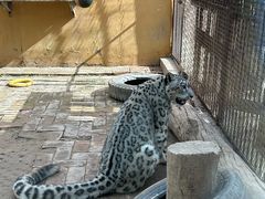 -青藏高原野生动物园