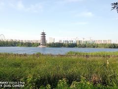 -秦九和(凯德广场店)