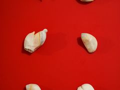 -湖北美术学院(昙华林校区)