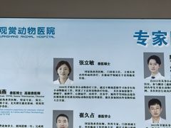 -北京观赏动物医院·24小时大型综合·猫专科·异宠专科