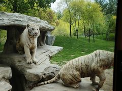 -北京野生动物园