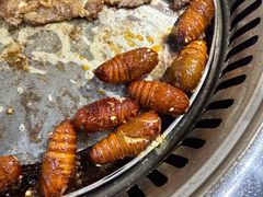 -鹤之乡·齐齐哈尔烤肉·非遗(秋涛路店)