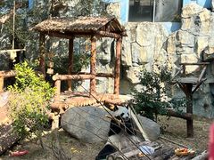 -泉州海丝野生动物世界