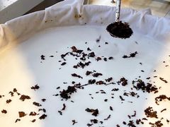 -安上粉皮.非遗手工小吃(骑龙巷店)