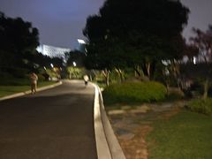 -青枫公园