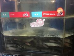 -鱼酷活鱼烤鱼(梅江印象城店)