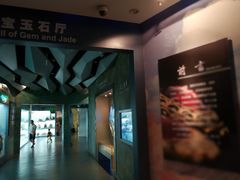 -甘肃地质博物馆