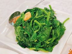 清炒豆苗-岭南小馆