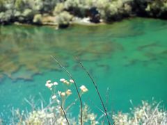 -叠溪松坪沟景区