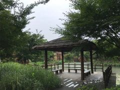 -白马涧龙池景区