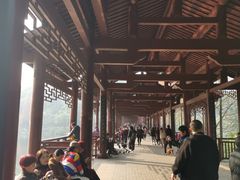 -重庆彩云湖湿地公园