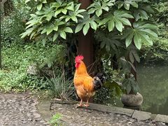 -木子山庄·安徽省老字号·中国炖锅宴
