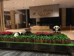 -成都保利公园皇冠假日酒店(熊猫基地店)