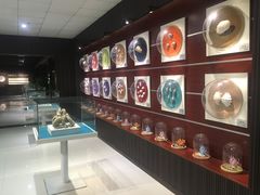 -青岛贝壳博物馆