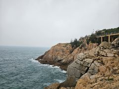 -广东惠东海龟国家级自然保护区