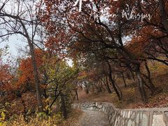 -北京西山国家森林公园