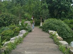 -广西壮族自治区药用植物园