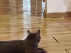 -壹人壹像工作室(购物公园店)