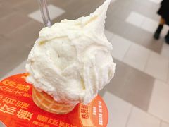 -野人先生现做冰淇淋(西安赛格店)