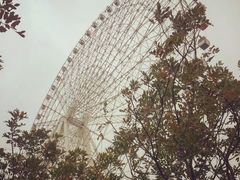 -凤岭儿童公园