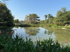-海珠湖公园