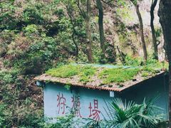 -南山植物园