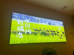 -杨厨的田园饭店(长城路店)