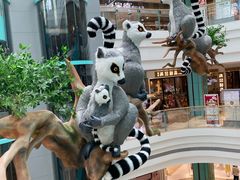 -大族广场Mall&More