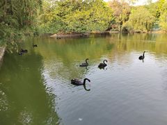 -深圳野生动物园