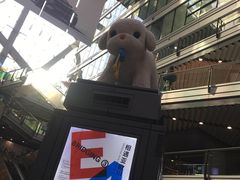 -汉堡王(北京三里屯购物中心)