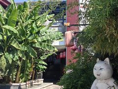 -唐猫庭院·千年陕菜(大唐不夜城店)