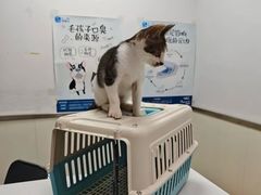 -宠颐生宠物医院·犬猫全科·皮肤科(商业街店)