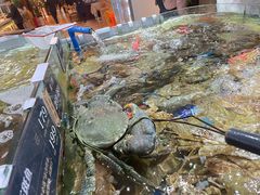 -欧记·龙城港(欣都店)