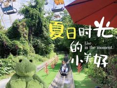 -富斯特索道