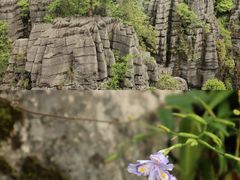 -梭布垭石林景区