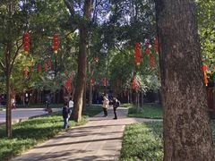 -成都杜甫草堂博物馆