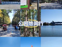 -日照海滨国家森林公园