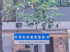 -泡桐树街