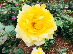 -人民公园(罗湖区)