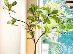 -HERB SPICE(来凤街店)