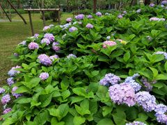 -新天地活力PARK