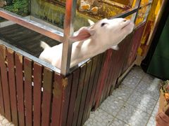 -上海大自然野生昆虫馆(东方明珠·爬宠昆虫探索中心)
