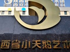 -陕西省小天鹅艺术团